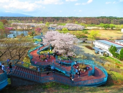 黒磯公園から道...