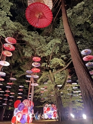 『月あかり花回...