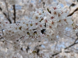 天気も良かった...