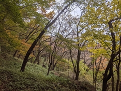 県民の森周辺の...