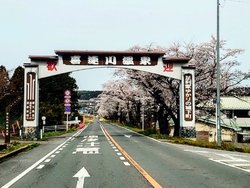 あれ？桜のトン...