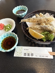 4号の大きなバ...