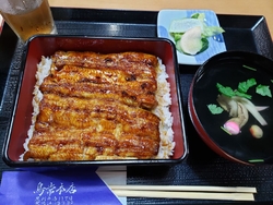 うなぎの本当の...