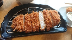 初めて来ました...
