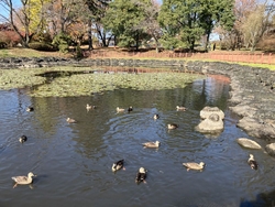 子供と一緒に遊...