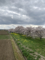 国道293号の...