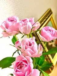 残り一つのピン...