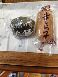 栃木県内に用事...