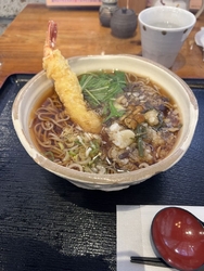 海老天山菜おろ...