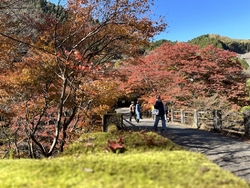 11月19日に...