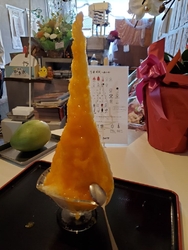 念願だったこち...