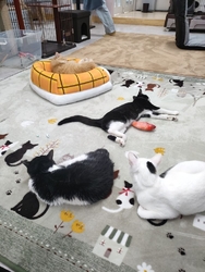 お昼過ぎにお邪...
