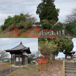栃木市と下野市...