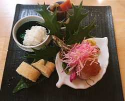 身体に良さそう...