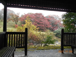 御殿山の紅葉を...