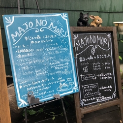 お天気も良かっ...