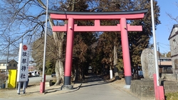 散歩中に見付け...