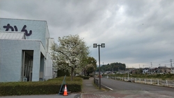鹿沼市立図書館...