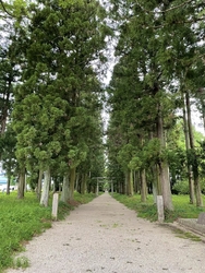 今朝は那須神社...