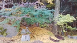 以前塩原で食事...
