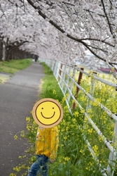 今年もそろそろ...