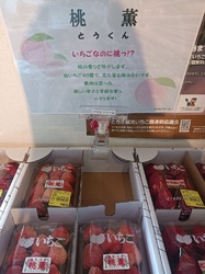 行ったことがな...