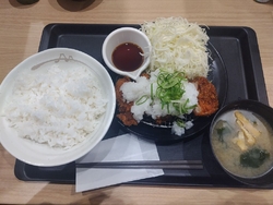 鬼おろしロース...
