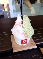 少し前に新聞で...