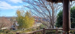 栃ナビを見てい...