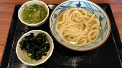 旨塩うどんを食...
