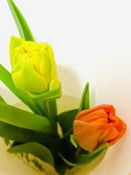 暫く咲いてくれ...