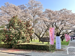 仕事上がりにふ...