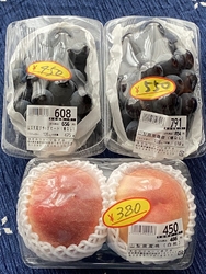TVを見て那須...
