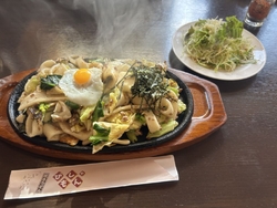 日光に観光に行...