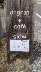 こちらは、動物...