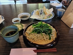 今年のゴールデ...