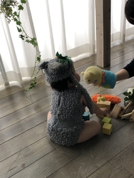 ベイビーコレク...