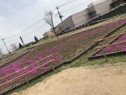 子供と遊びに来...