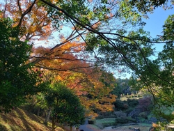 今年も佐久山御...