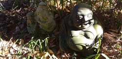 元旦に参拝に訪...