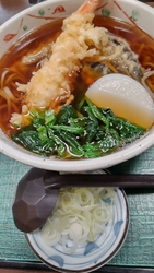 本当は冷たいお...