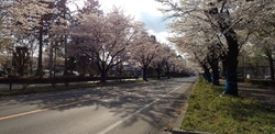 雨の日も、曇り...