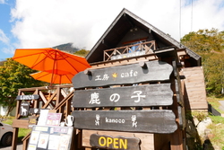 久しぶりに鹿の...