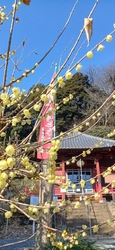 今日は、天気が...
