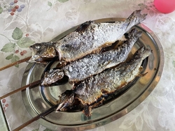釣りにゴーカー...