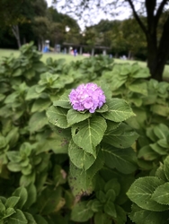 周辺の公園と遊...