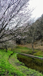 静かで、景色の...