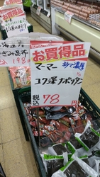 【鹿沼晃望台店...