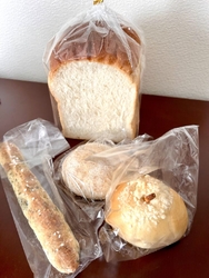 みなさんの口コ...