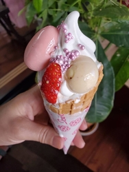 気になってたお...
